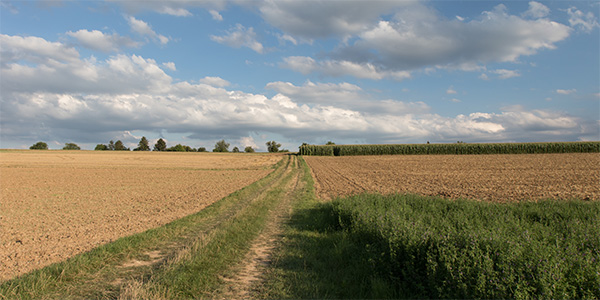 himmel und erde