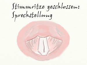 Stimmritzen