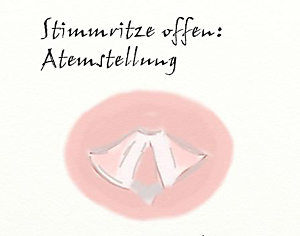 Stimmritzen